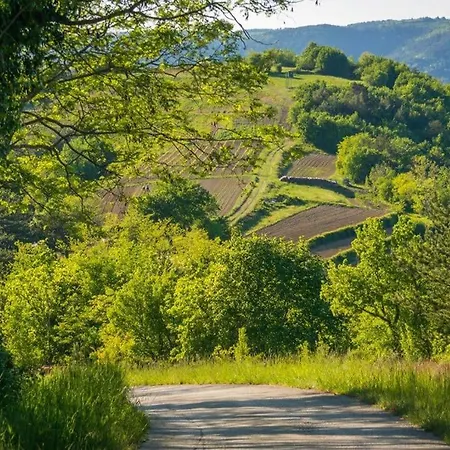 Prospect * Motovun