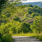 Prospect * Motovun